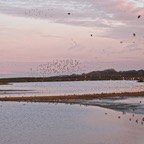 titchwell1015L2.jpg