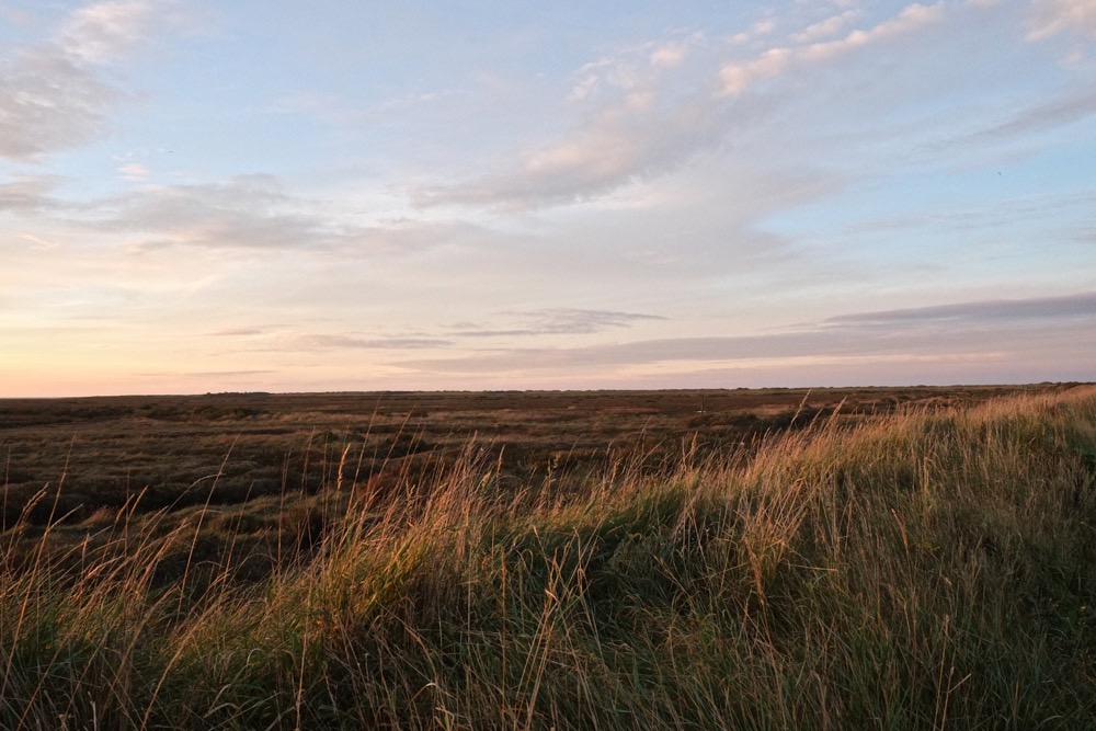 Titchwell - 10/15