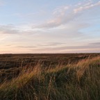 titchwell1015L1.jpg