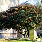 blakeney141214L1
