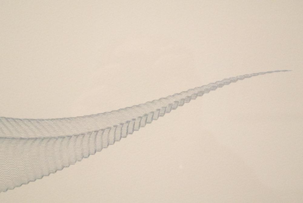 Agnes Denes - Colchester - Spring 14