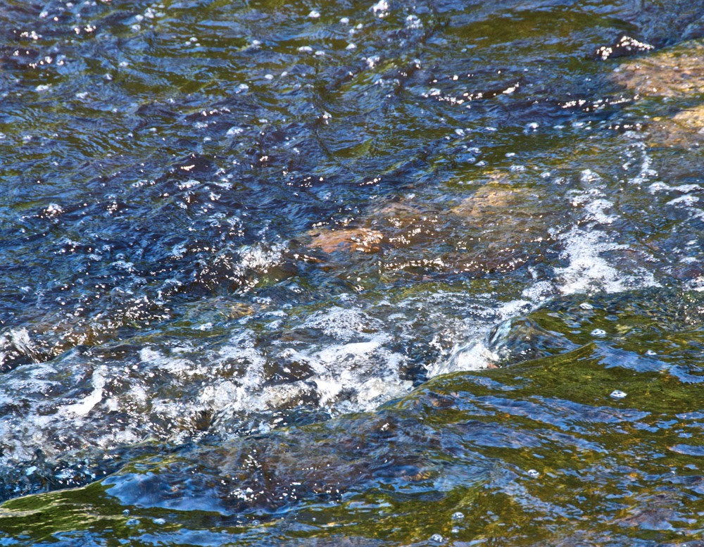 Aysgarth Falls - 10/08/10