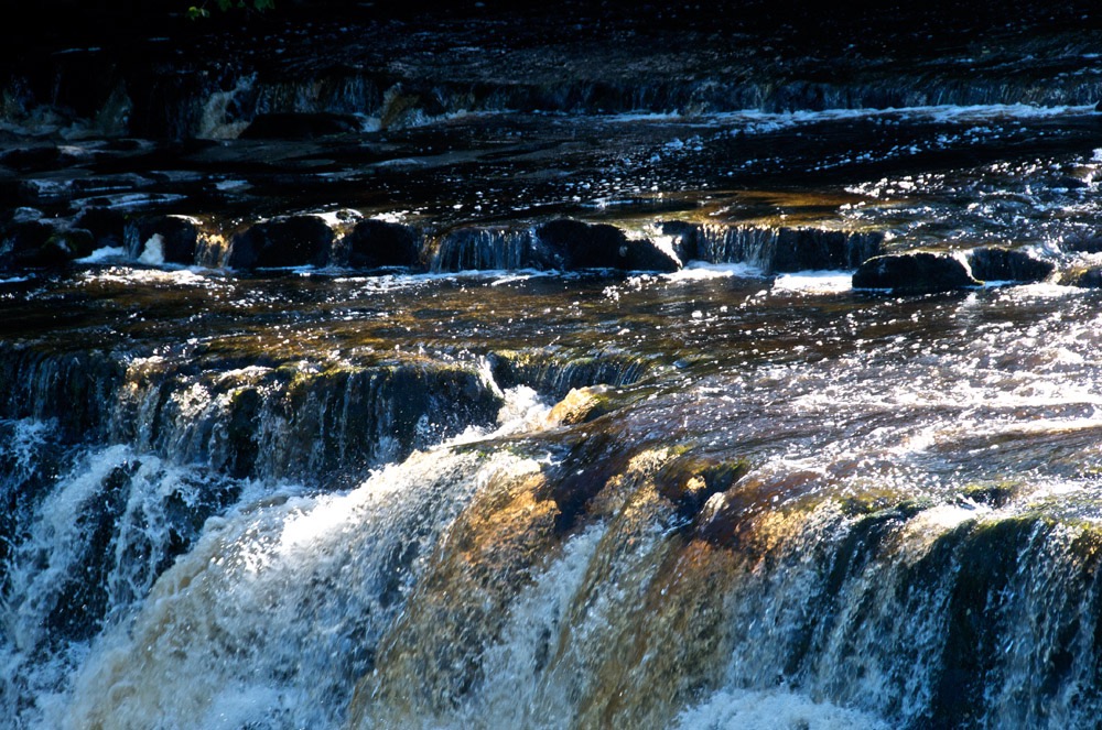 Aysgarth Falls - 10/08/10