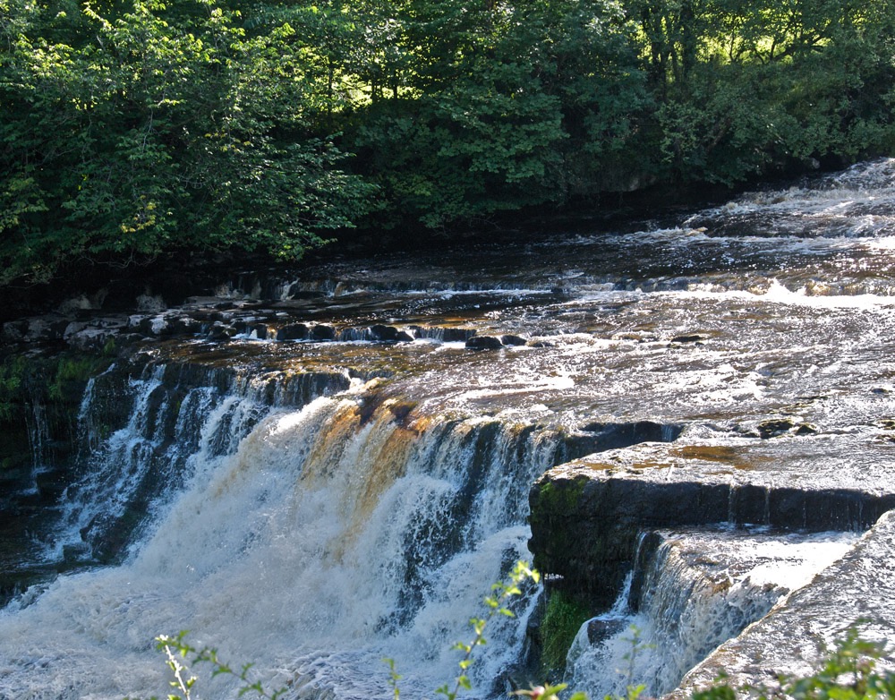 Aysgarth Falls - 10/08/10