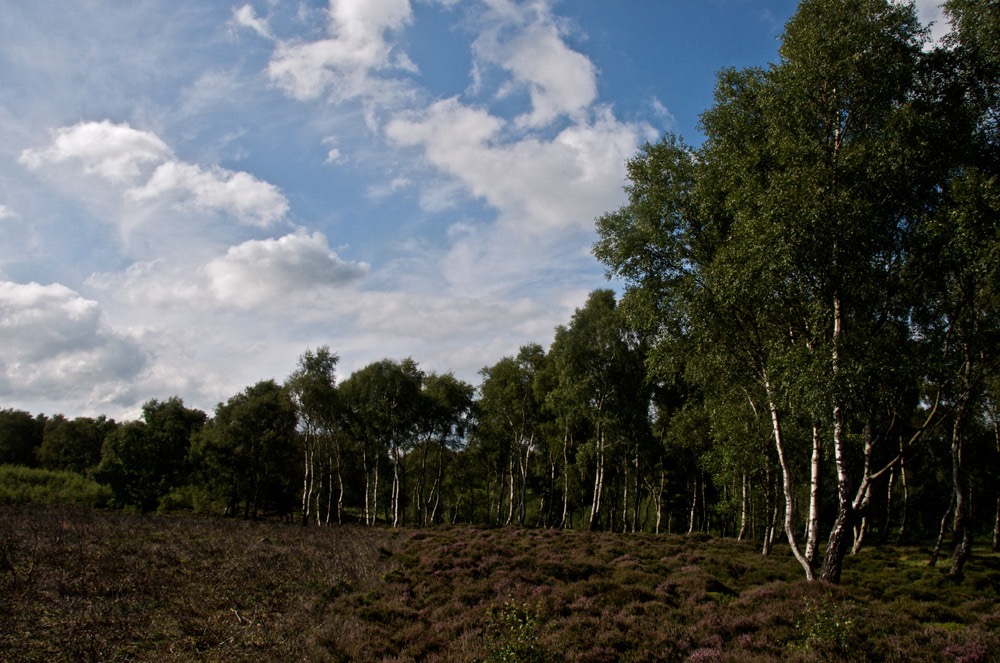 Nine Sisters 05/08/09