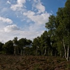 ninesisters050809large