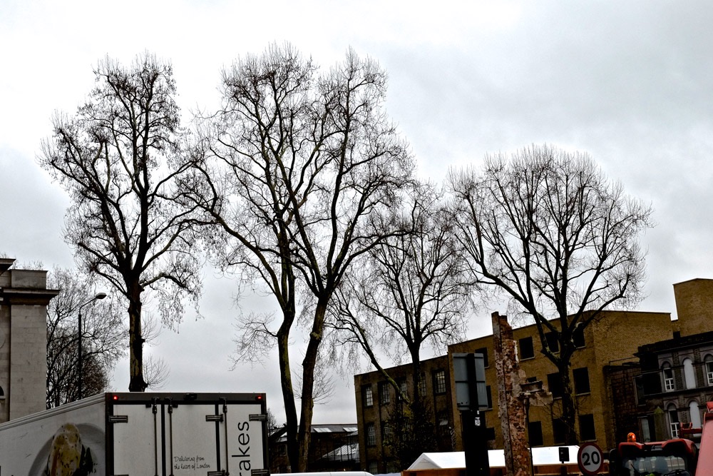 London - 01/16