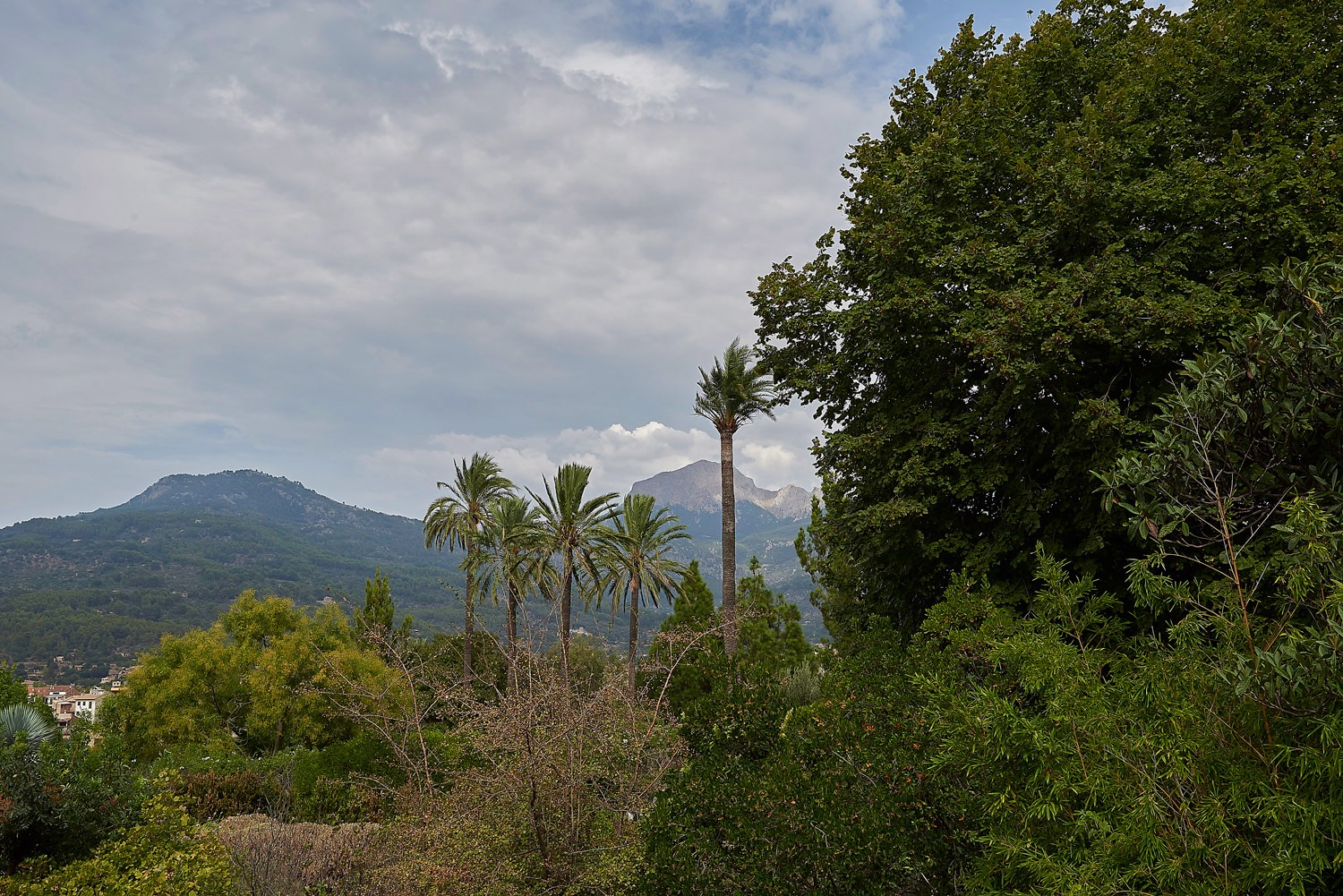 Jardi Botanic - Soller - Majorca - 08/17