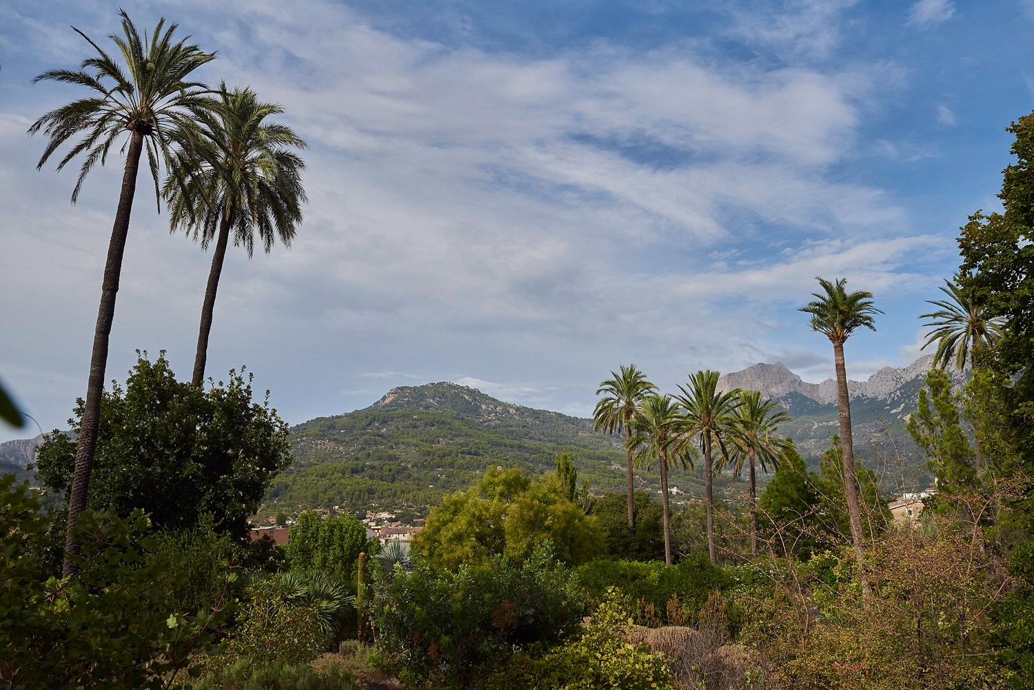 Jardi Botanic - Soller - Majorca - 08/17