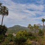 Majorca0817-63L.jpg