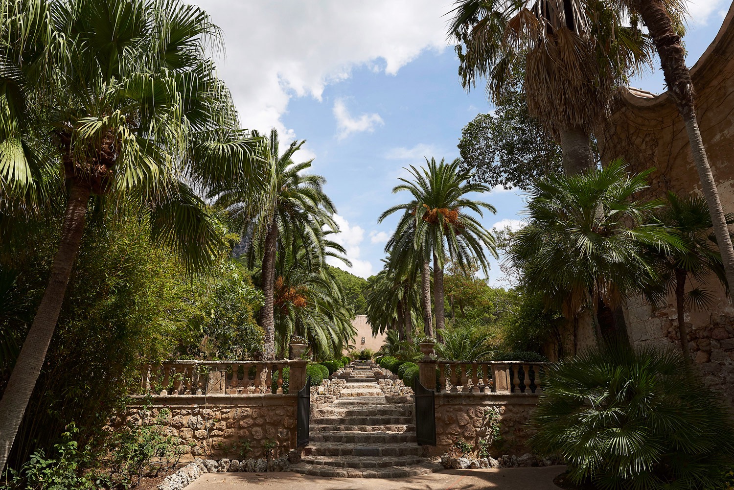 The Gardens of Alfabia - Majorca - 08/17