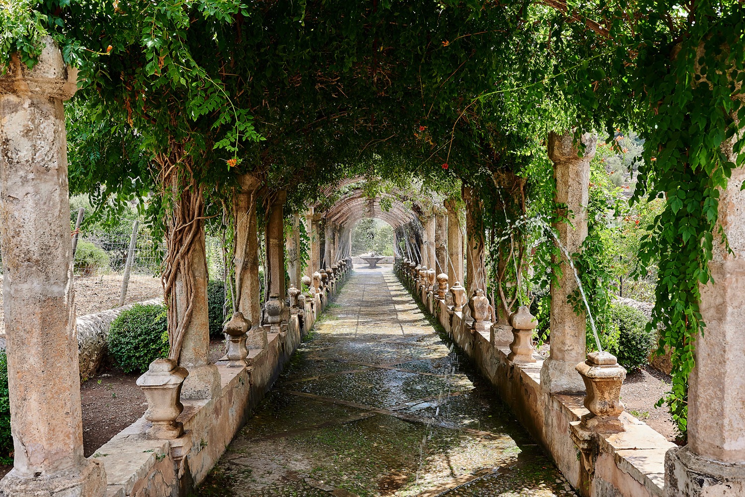 The Gardens of Alfabia - Majorca - 08/17
