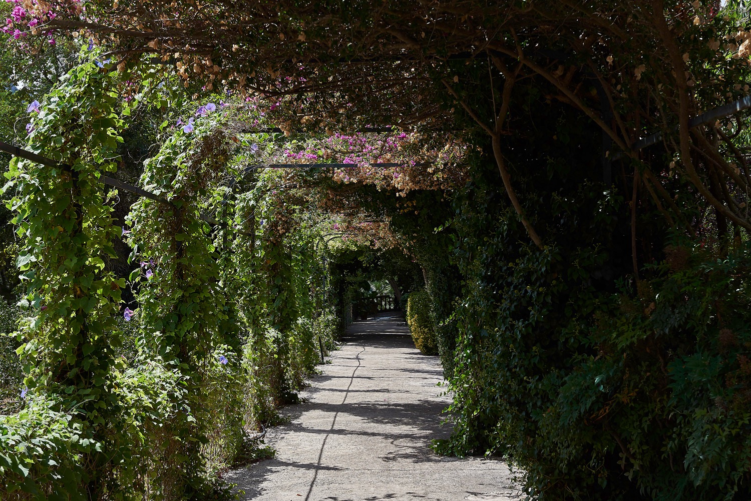 The Gardens of Alfabia - Majorca - 08/17