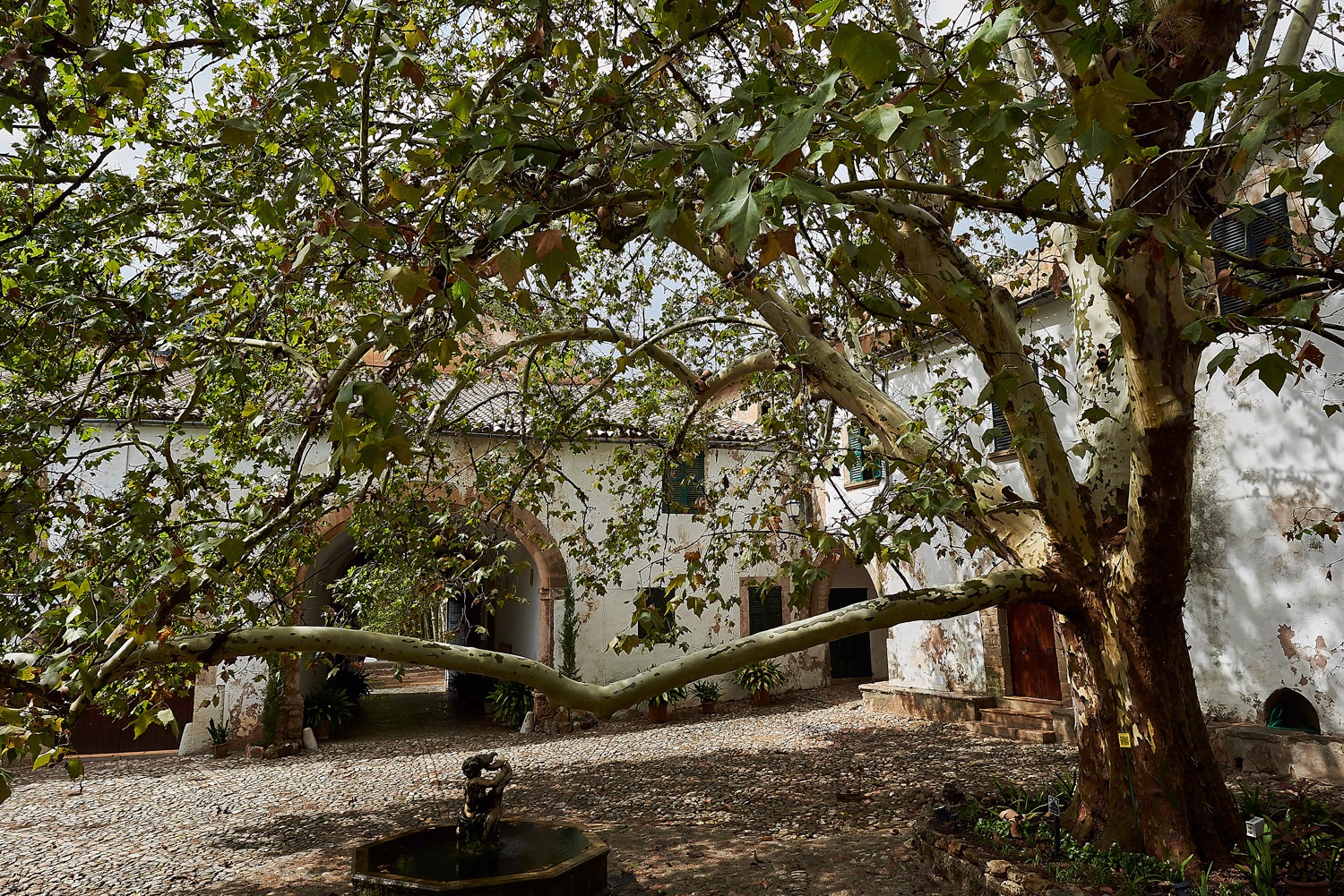 The Gardens of Alfabia - Majorca - 08/17