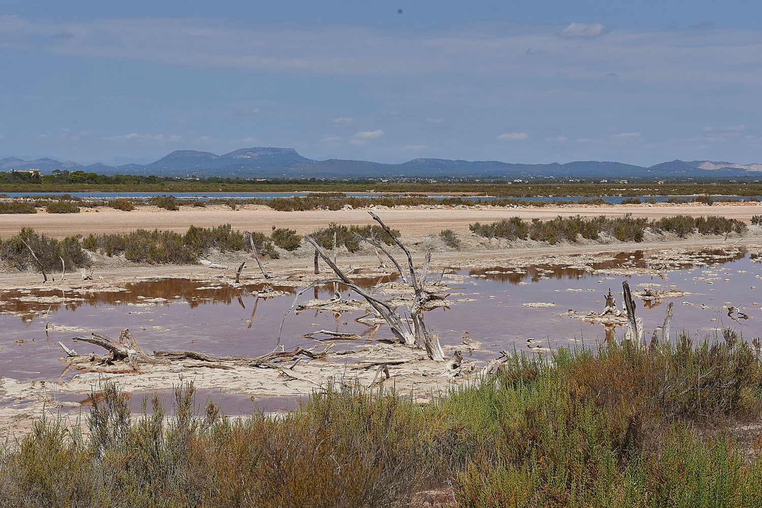 Es Trenc Saltpans - Majorca - 08/17