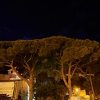 Majorca0817-218L.jpg