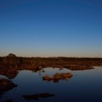Soomaa0517L14.jpg