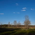 Soomaa0517L8.jpg