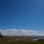Haeska0517L13.jpg