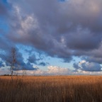 Sutlepa110517L4.jpg